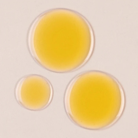 Two Poles Cleansing Oil 150 ml
