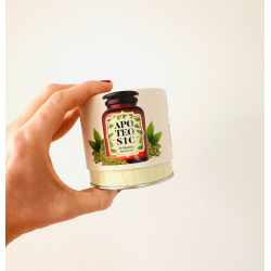 APOTEOSIC Té Matcha Ceremonial Premium 45 G 2