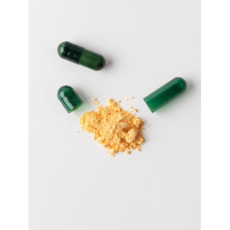 Arturo Alba Chronos Aeternum 60 Cápsulas