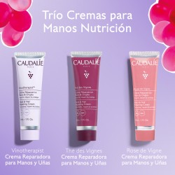 Caudalie Trio Cremas de Manos 3x30 ml 2