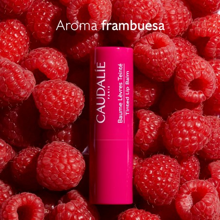 Caudalie Bálsamo de Labios con Color