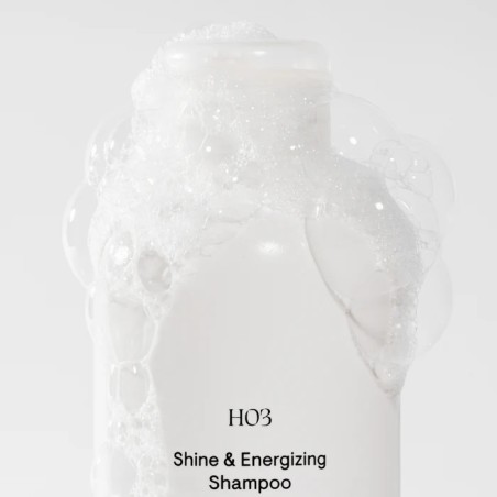 Modesta Cassinello H03 Champú Brillo y Vitalidad 250 ml | Capilar |...