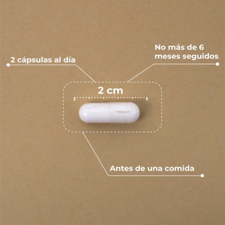 KOBHO PRE POST BIOTICO 60 CAPS