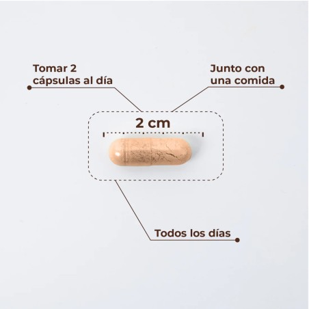 KOBHO W-BALANCE 60 Cápsulas