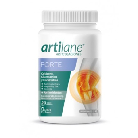 Artilane Forte Polvo 220 g