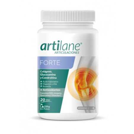 Artilane Forte Polvo 220 g