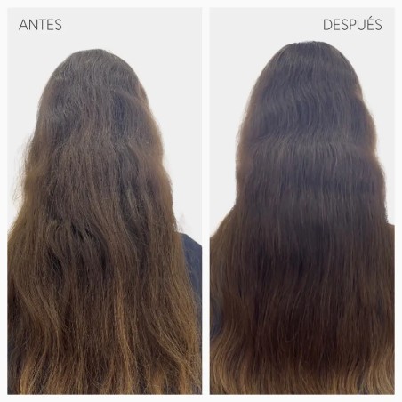 Moncho Moreno Champú Bathman Detox Hair 250 ml | Marcas | Farmaelglobo